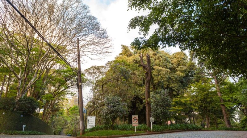 [0888] Casa – Chácara Flora – São Paulo SP