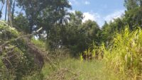 [ 1045] Terreno em Condomínio – Mairiporã SP